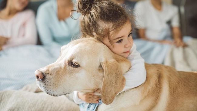 7 Ras Anjing yang Cocok Jadi Hewan Peliharaan Anak