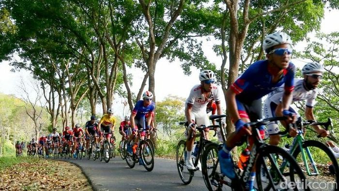 Tour de Banyuwangi Ijen 2018 memasuki etape keempat (Ardian Fanani/Detiksport) Tour de Banyuwangi Ijen 2018 memasuki etape keempat (Ardian Fanani/Detiksport)