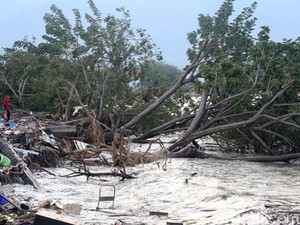 Muncul Lumpur Usai Gempa di Sigi Bikin Bangunan dan Pohon Jalan