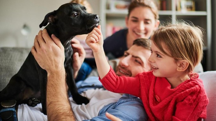 Hewan peliharaan sakit membuat kesehatan mental juga terdampak. Foto: Istock Hewan peliharaan sakit membuat kesehatan mental juga terdampak. Foto: Istock