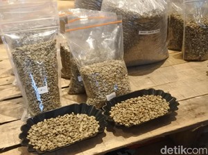 Ini Dia Dogiyai, Biji Kopi Lokal Terbaik dari Papua
