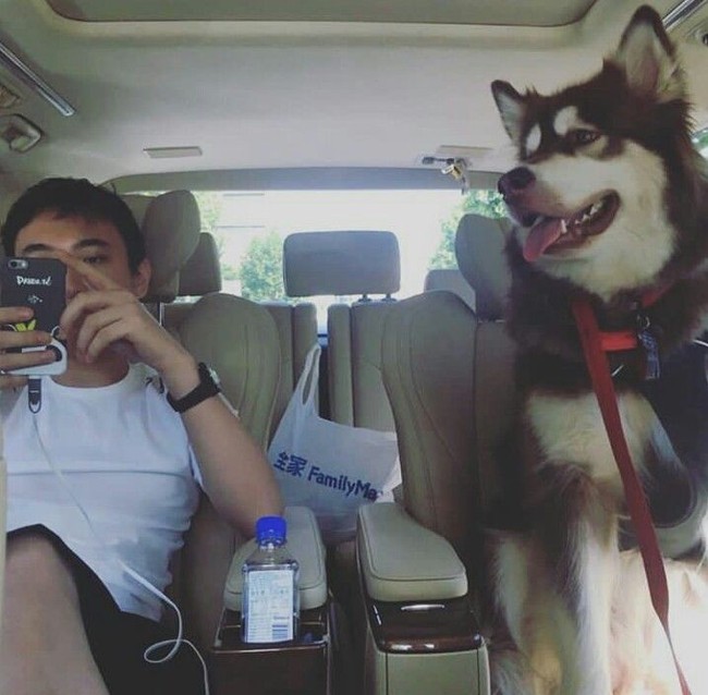 Salah satu aksi nyelenehnya dalam pamer harta adalah Sicong pernah membelikan dua buah Apple watches untuk anjingnya. Foto: Dok. Instagram Wang Sicong