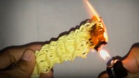 Mi instan setali tiga uang dengan kopi instan, disebut mengandung bahan berbahaya hanya karena menyala saat dibakar. Seperti halnya bihun, mi instan juga menyala karena terbuat dari tepung. Foto: viral
