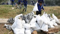 Kepala BBWSCC, Bambang Hidayat mengatakan kegiatan peringatan hari habitat dunia dan hari kota dunia rutin dilakukan setiap tahun pada tanggal 1 Oktober oleh negara-negara anggota PBB. Dia menambahkan untuk Indonesia akan dilakukan kegiatan Indonesia Bersih.