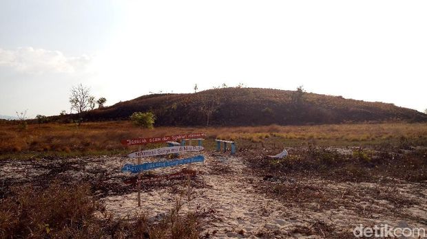 Pulau Nisa Pudu