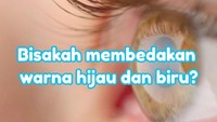 Apakah kamu kesulitan membedakan warna hijau dan biru? Yuk coba tes ini, siapa tahu kamu buta warna parsial. (Foto: detikHealth)
