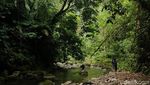 Foto: Cantiknya Air Terjun Cantik Tengah Hutan di Ambon