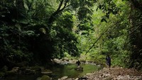 Nah, kamu kapan berkunjung ke Air Terjun Talaga Pange? (Muslimin/detikTravel)