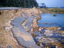Apa Penyebab Likuifaksi? Ini Pengertian, Bahaya, Dampak, dan Mitigasinya