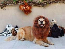 Mengintip Hidup Mengagumkan Sang Pendiri Instagram