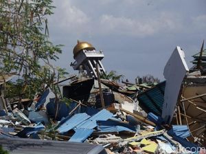 Polemik Pengusiran, Ini Aturan Relawan Asing Saat Tanggap Darurat