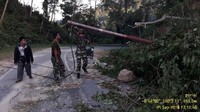 Foto: Tiang listrik dan pohon bertumbangan akibat gempa. Tampak Babinsa membantu meminggirkan agar tak menghalangi jalan. (Dok Danramil).