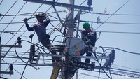 Petugas PLN mulai memperbaiki jaringan listrik di Palu.