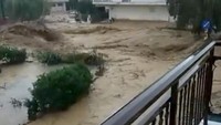 Intensitas hujan yang tinggi disertai angin kencang membuat beberapa wilayah di Kiato, Yunani terendam banjir dan pohon tumbang. Social Media/Ria Douvi/via Reuters.