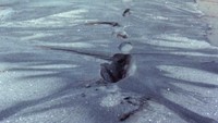 Pasir mendidih di sepanjang celah dekat Sungai Pajaro akibat gempa Loma Prieta 1989 (J.C. Tinsley of the U.S. Geological Survey)
