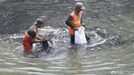 Aksi Bersih-bersih Kanal Banjir Timur