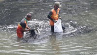 Aksi bersih sungai ini dilakukan di Kanal Banjir Timur (KBT) Cipinang Indah, Jakarta Timur, Senin (1/10/2018).