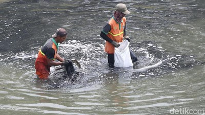 Aksi Bersih-bersih Kanal Banjir Timur