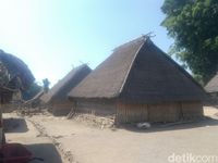 Rumah adat di Kampung Bayan (Harianto/detikTravel)