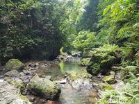 Air Terjun Cantik di Tengah  Hutan  Ambon