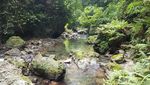 Foto: Cantiknya Air Terjun Cantik Tengah Hutan di Ambon