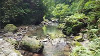 Kalau lelah, traveler bisa istirahat di sepanjang sungai yang sejuk (Muslimin/detikTravel)