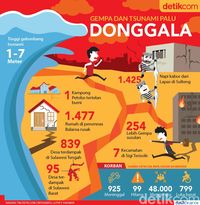 Dampak Gempa Dan Tsunami Di Palu Dan Donggala