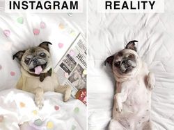 Perbandingan Kocak Foto Instagram dengan Kenyataan