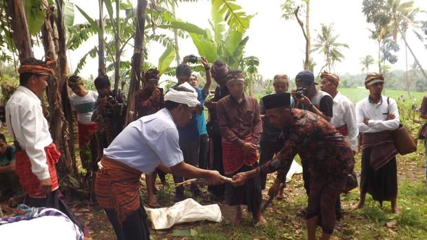 Kisah Artefak Kuno, Ritual Adat dan Gunung Samalas di Lombok