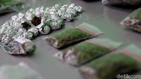 Meski berkali-kali aparat Indonesia menangkapi orang-orang Papua Nugini karena mengedarkan ganja, kasus serupa terus saja berulang. Ini karena ada faktor keekonomian dari ganja yang membuat masyarakat melihat itu sebagai jalan pintas mendapat duit. 