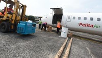 Selain mengirimkan peralatan pendukung pendistribusian BBM, Pelita Air Service yang menurunkan pesawat jenis ATR 72 -500 mengangkut  bantuan logistik dan obat-obatan. Vice President Corporate Communication Pertamina  Adiatma Sardjito menyatakan logistik yang dikirim diterbangkan dari Bandara Pertamina Pondok Cabe, Tangerang Selatan menuju Bandara Mutiara SIS Al-Al Jufrie. Dok. Pertamina.