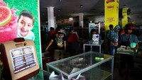 Tampak sejumlah warga mengumpulkan berbagai makanan dan barang-barang alat kebersihan dan air bersih dari minimarket di kota Palu, Sulawesi Tengah. Athit Perawongmetha/Reuters.