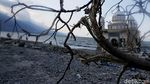 Penampakan Masjid Apung Usai Diterjang Gempa dan Tsunami