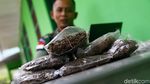 Melihat Emas Haram dari Papua Nugini yang Gagal Beredar di RI