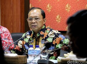 Mangrove di Teluk Benoa Bakal Ditata Jadi Pusat Studi dan Taman