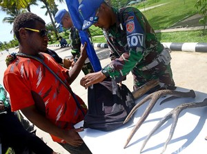 Apa Alasan Utama Warga Menyeberang di Perbatasan Papua Nugini?
