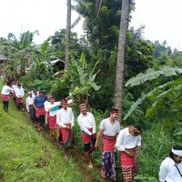 Kisah Artefak Kuno, Ritual Adat dan Gunung Samalas di Lombok