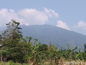 Personel Gabungan Sisir Hutan Cek Kebakaran di Gunung Ungaran