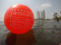 Kerang Hijau dan Upaya Pelestarian Air Laut Teluk Jakarta