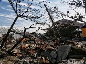 Bantuan Internasional ke Sulteng: Pesawat C-130 hingga Tenda