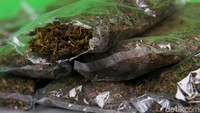 Total ada 26,509 kg ganja yang diamankan Satgas Pamtas sejak 25 Februari 2018. Ini akan diserahkan ke pihak kepolisian. 