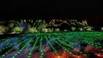 Foto: Gemerlap Festival Cahaya di Australia