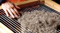 Eiderdown juga sangat elastis dan memungkinkannya kembali ke bentuk awal saat ditindih. Selimut itu diturunkan dari generasi ke generasi dan para ilmuwan telah menemukan sisa-sisa eiderdown di makam Viking (Galaxiid/Alamy)