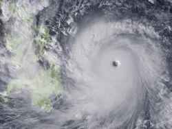 No Fake! Foto-foto Ini Asli, Bukan Settingan