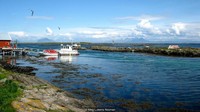 Lokasi peternakan penghasil bulu ini ada di selatan Lingkaran Arktik. Setiap bulan April, orang-orang Norwegia menuju rumah musim semi dan musim panas mereka di Lanan, Kepulauan Vega (Meg Lukens Noonan/BBC Travel)