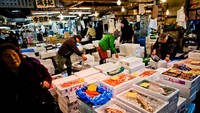 Jika berkunjung ke Pasar Tsukiji jangan kaget saat para pedagang tampak sibuk menyiapkan ikan segar atau mengajak para pengunjung untuk mencoba berbagai ikan dan hewan laut lainnya, karena di Pasar Tsukiji para pengunjung bebas mencoba beragam ikan sebelum membelinya untuk mengetahui kualitas ikan tersebut masih segar atau tidak. Istimewa/Daniel Berehulak/Getty Images.