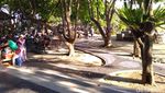 Foto: Tempat Piknik Warga Denpasar, Turis Nggak Tahu