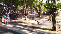 Selain banyak fasilitas, taman ini juga punya sisi teduh untuk bersantai. (Aditya Mardiastuti/detikTravel)