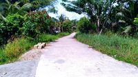 Kampung Mosso di Batas RI-PNG: Ditinggal, Dibakar, dan Dibangun