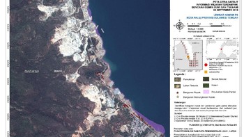Sebagai catatan, tim baru menghitung sebagian wilayah yang terpotret citra satelit. Foto: LAPAN